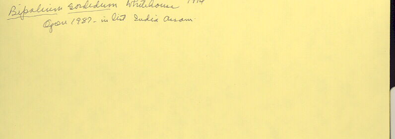 index card