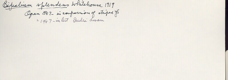 index card