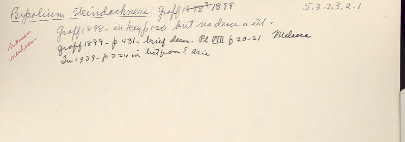 index card