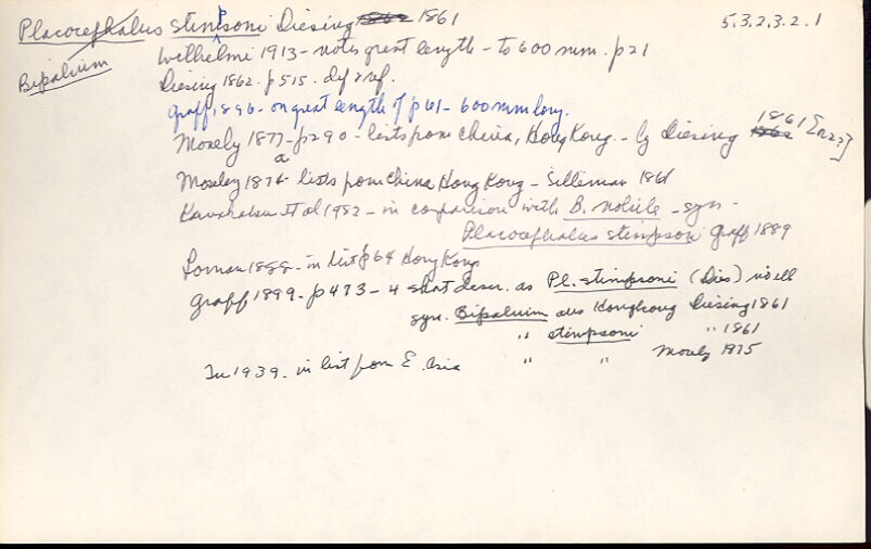 index card
