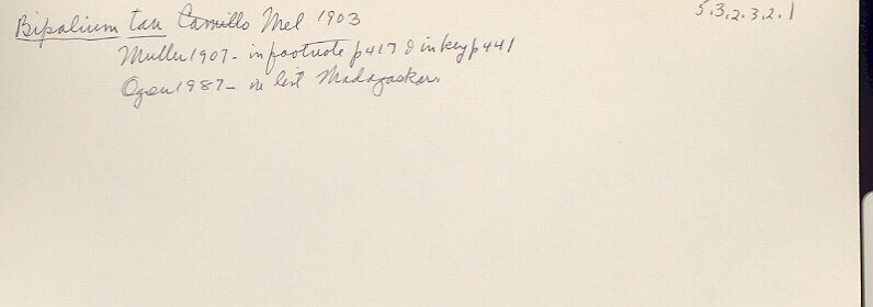 index card