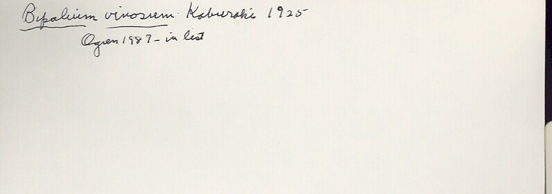 index card
