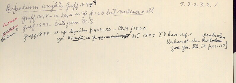 index card