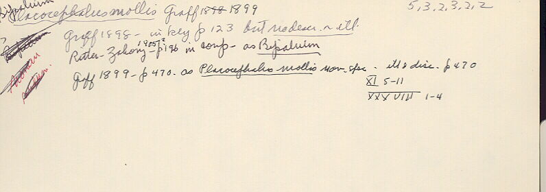 index card