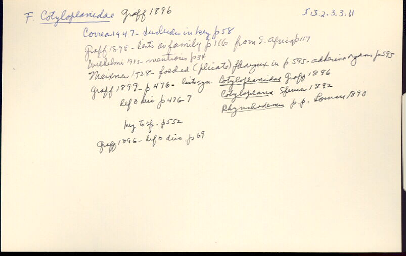 index card