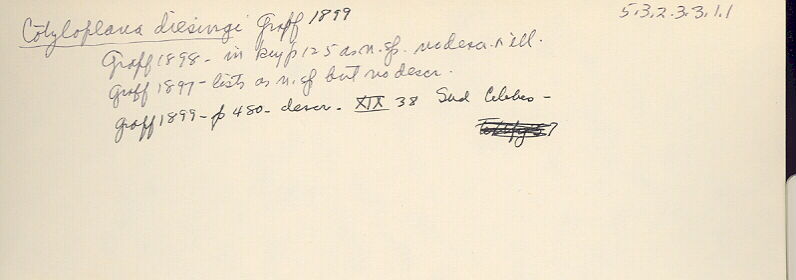 index card