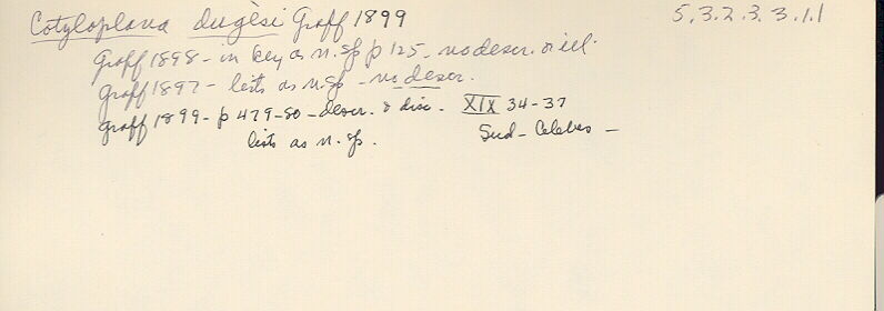 index card