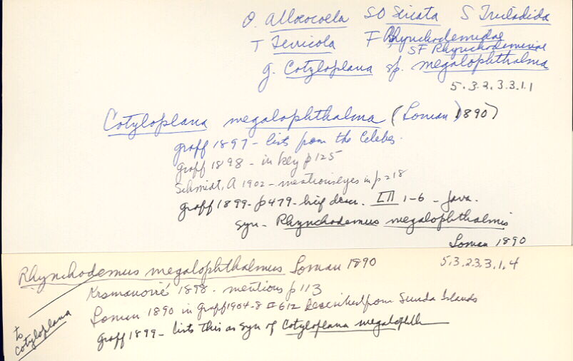 index card