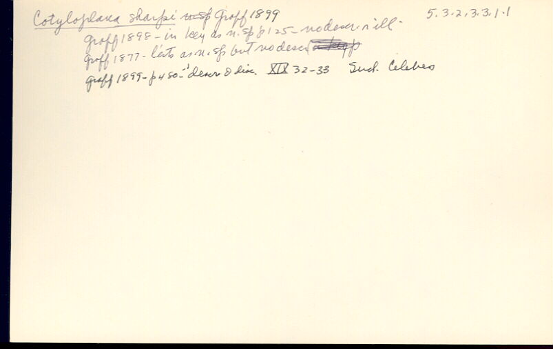 index card