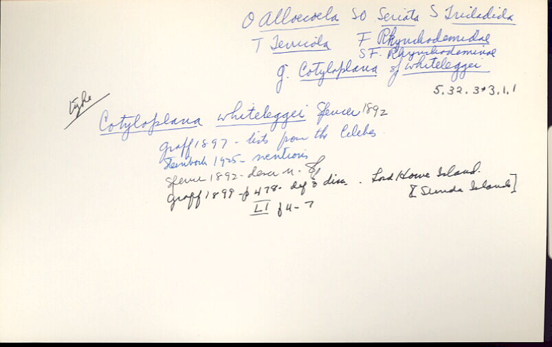 index card
