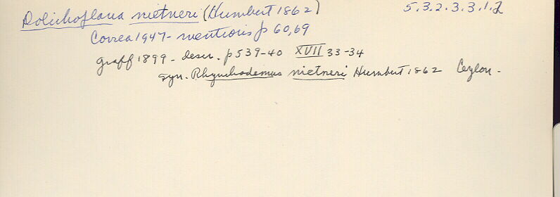 index card