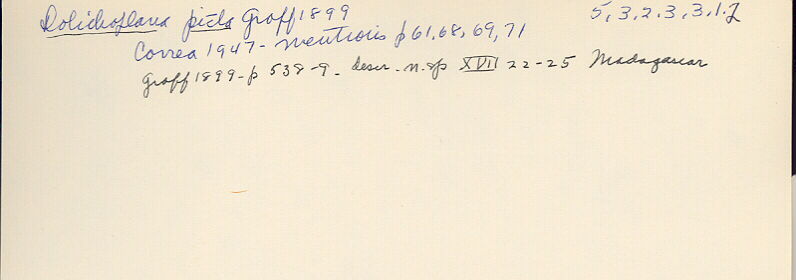 index card