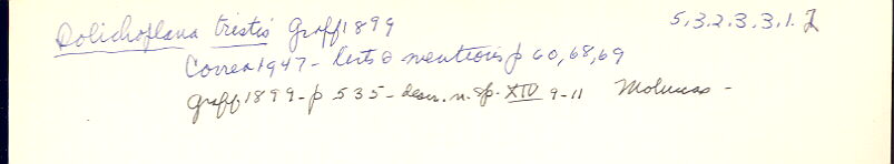 index card