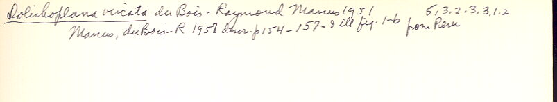 index card
