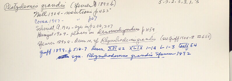 index card