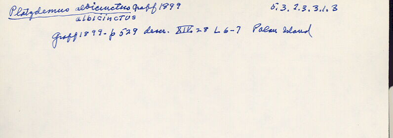 index card