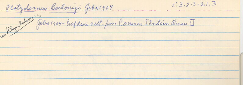 index card