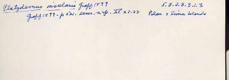 index card