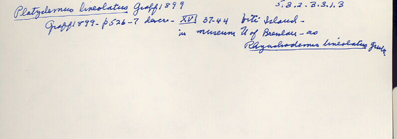 index card
