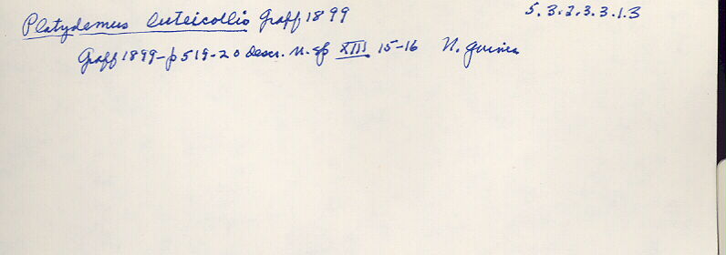 index card