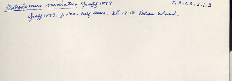 index card