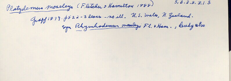 index card