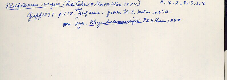 index card