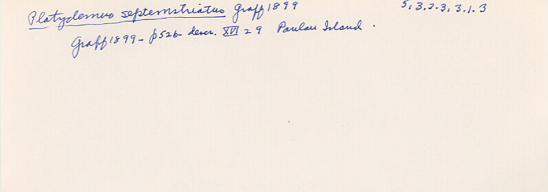 index card