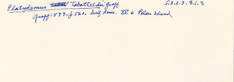 index card