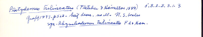 index card