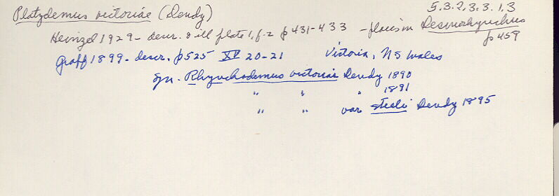 index card
