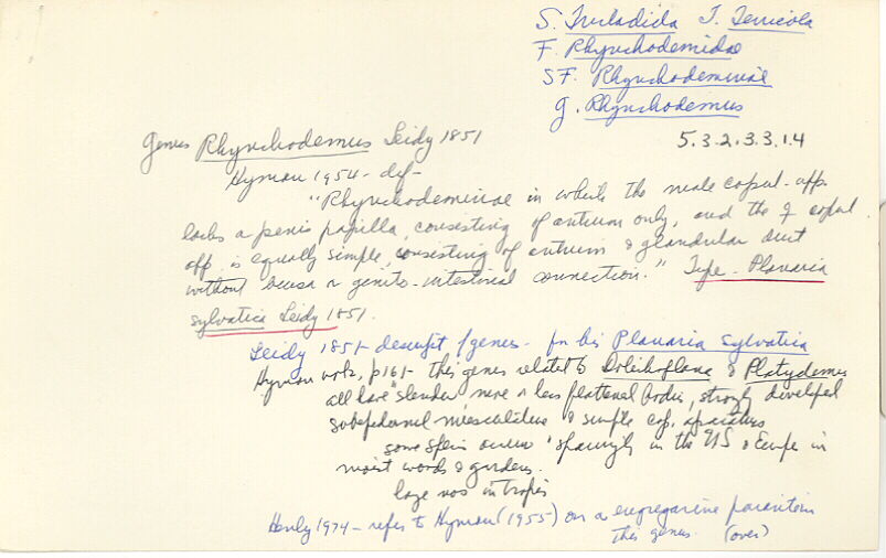 index card