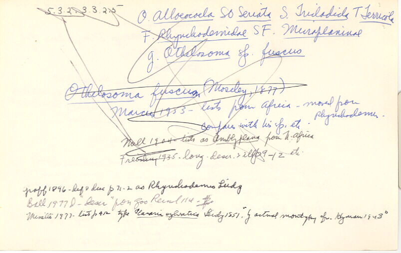 index card