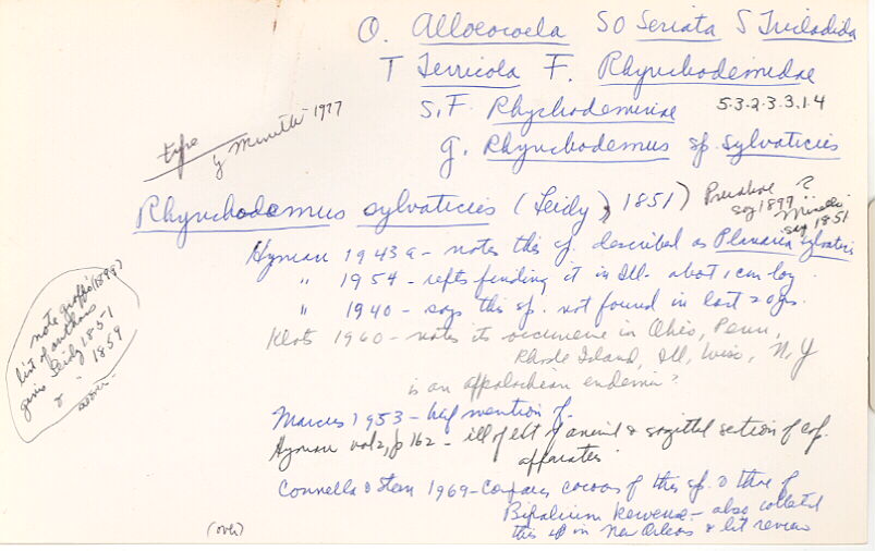 index card