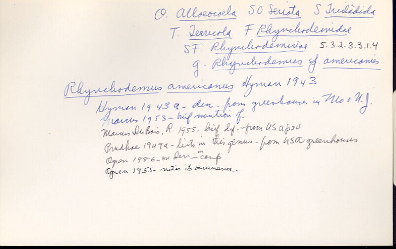 index card