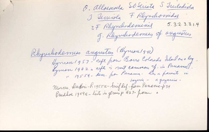 index card