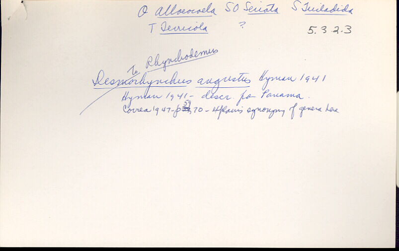 index card