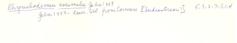 index card