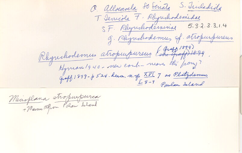 index card