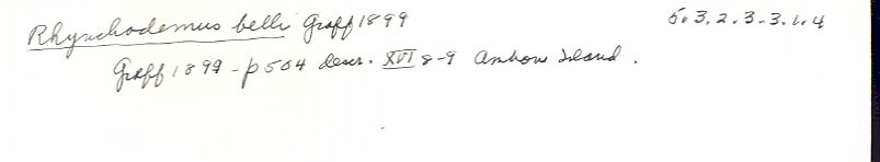 index card