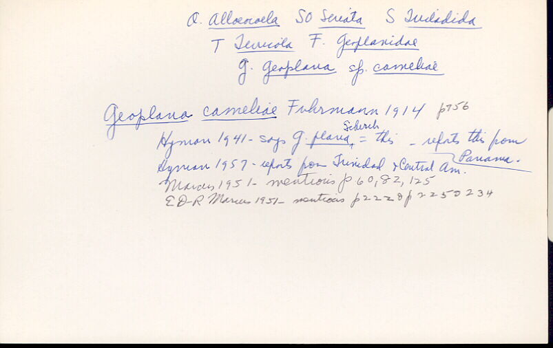 index card