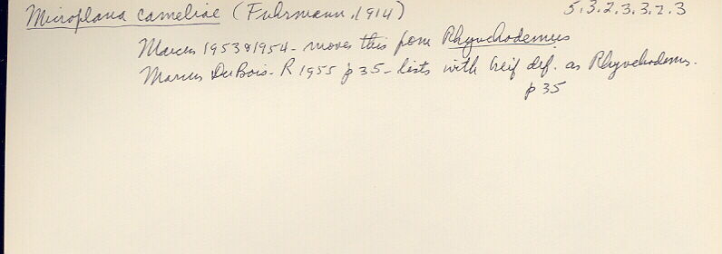 index card