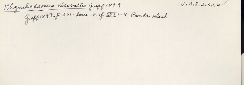 index card