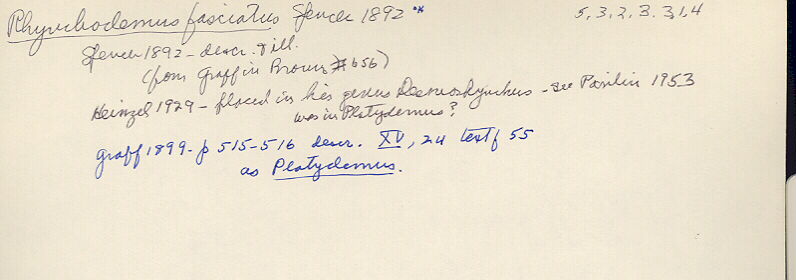 index card