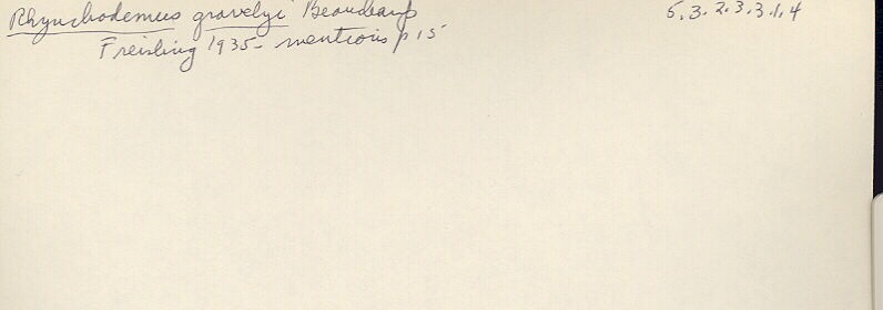 index card