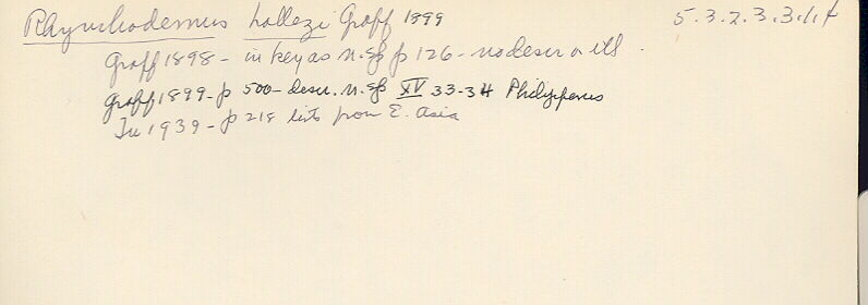 index card