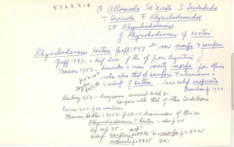 index card