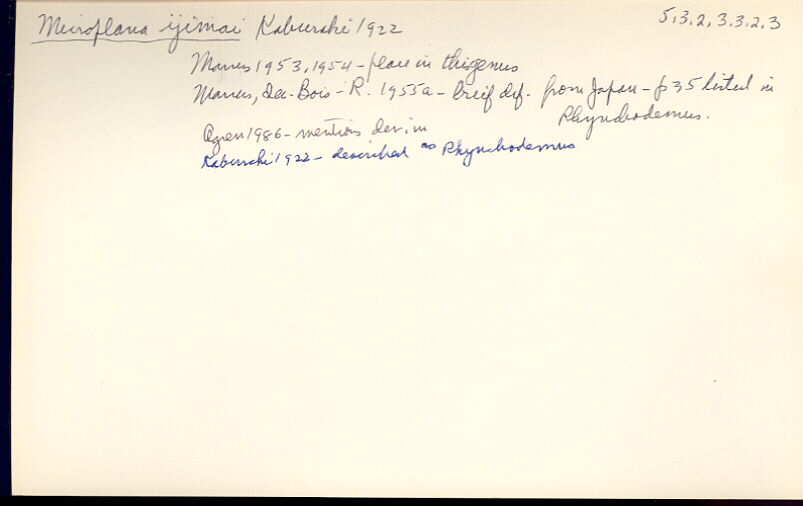index card