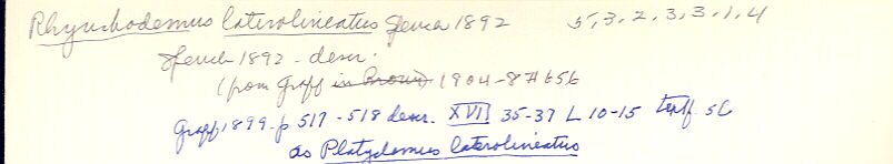 index card