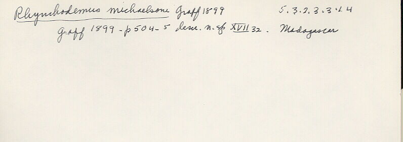 index card